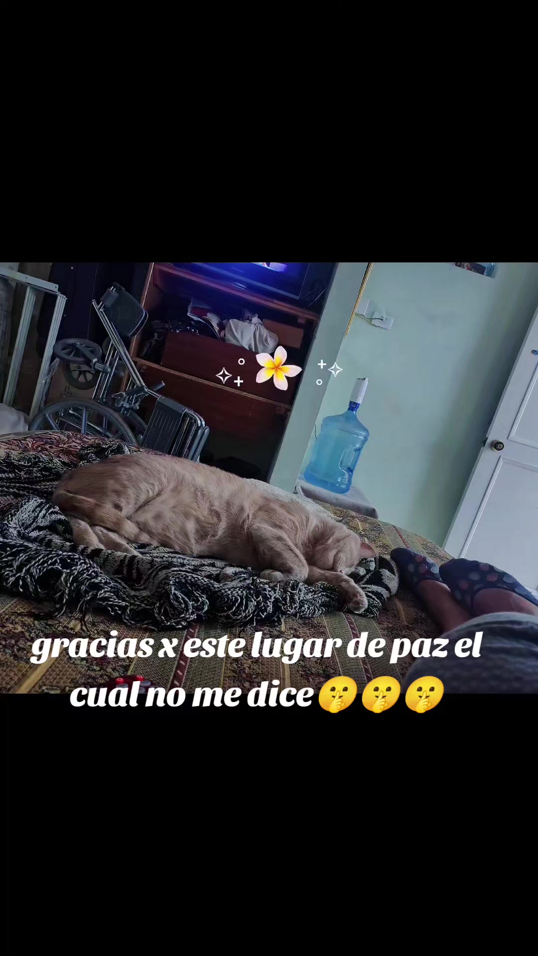 @isak