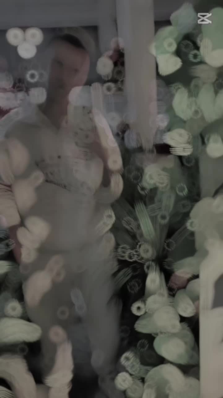@ℂ𝕒𝕟_𝕓𝕖𝕣𝕜_🕊️