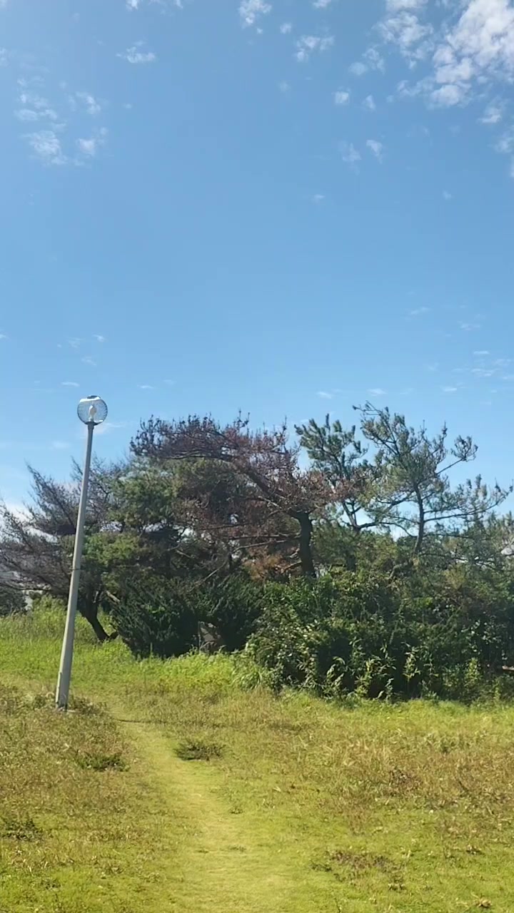 @ただくんdeath2