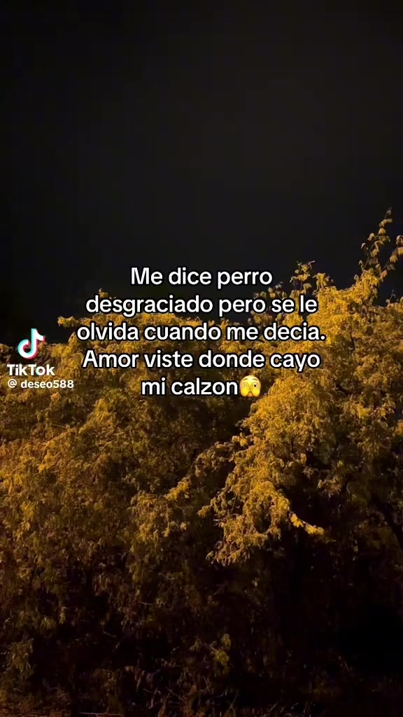 @Manuel Duarte268