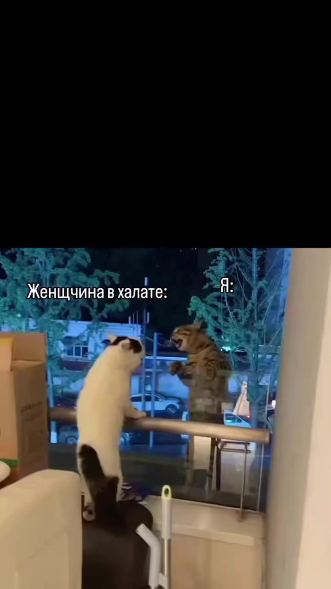 @Металічны Барсік