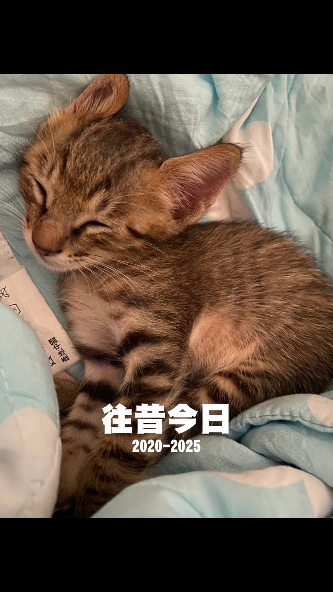 @自然~