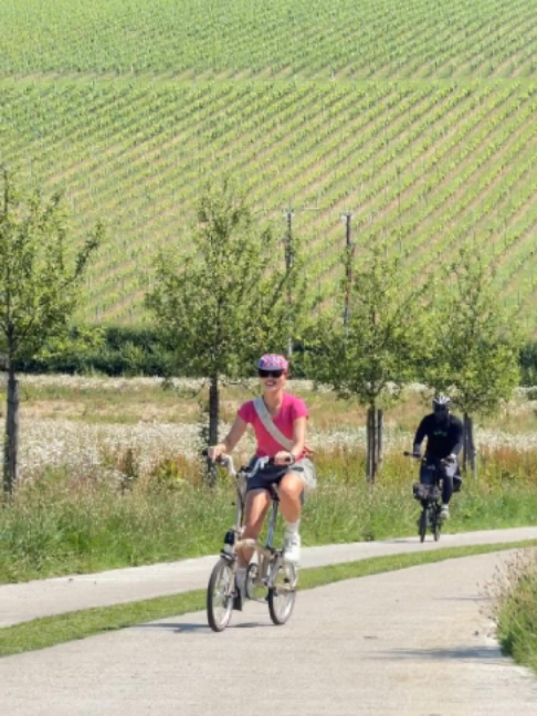 @Brompton Experiences