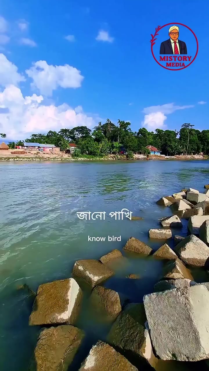 @sopnokomary