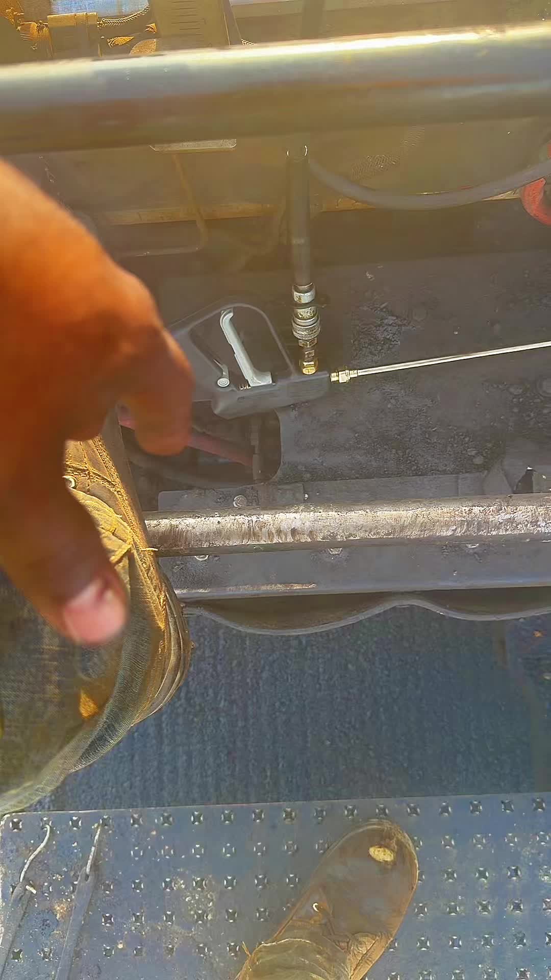 @CALIBOI559