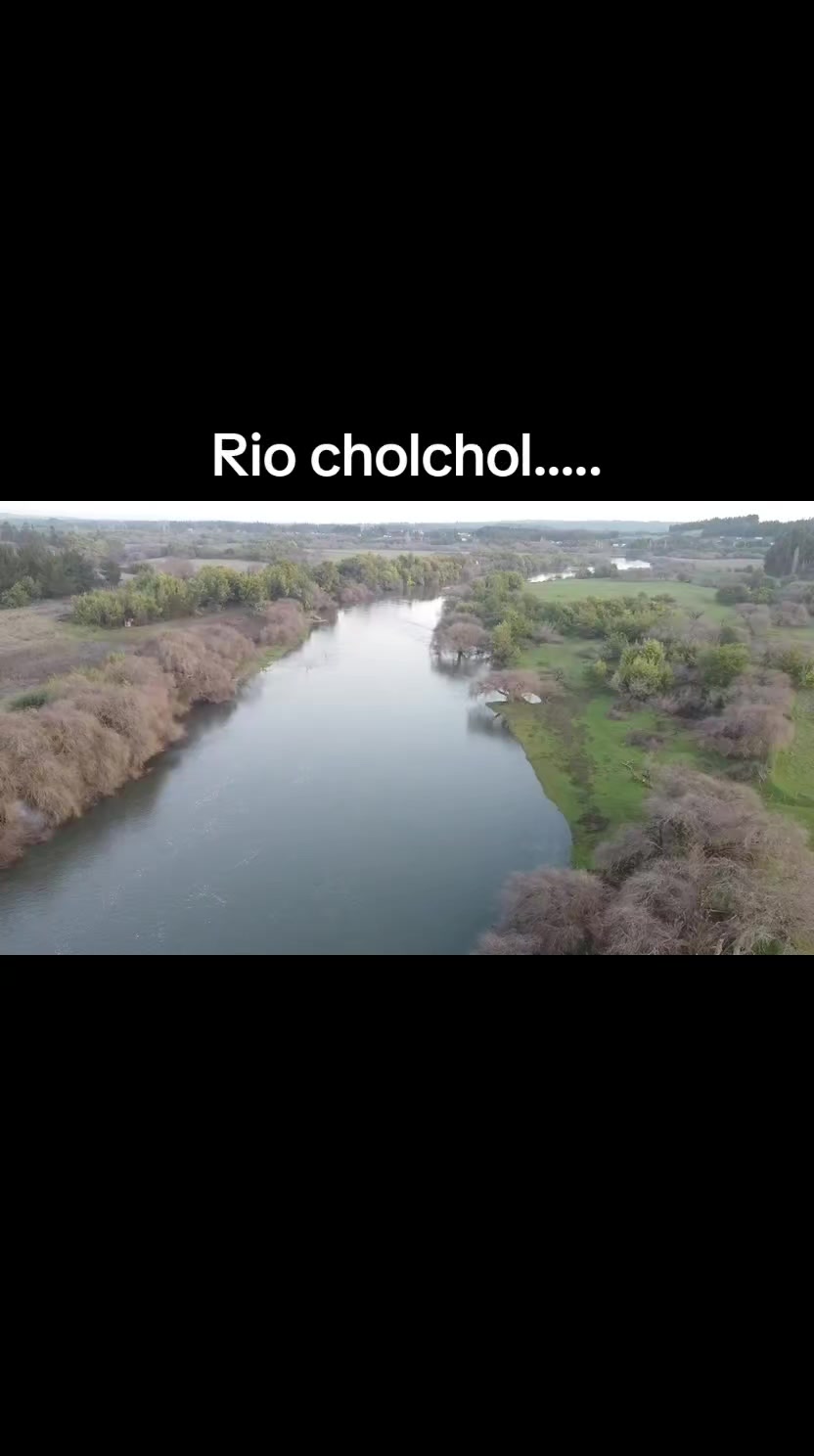 @martamillan772