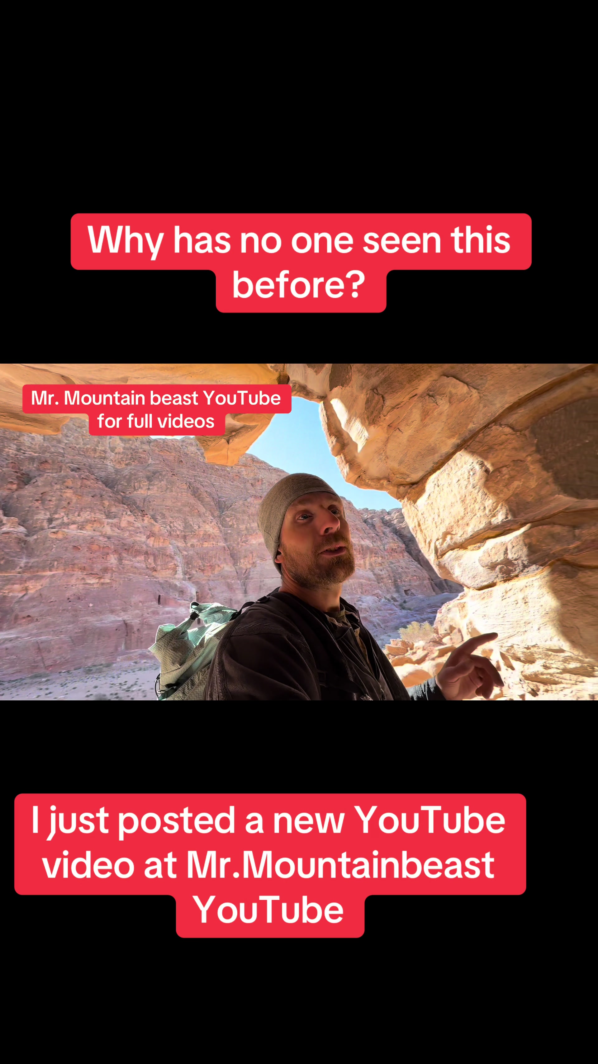 @Mr.mountainbeast