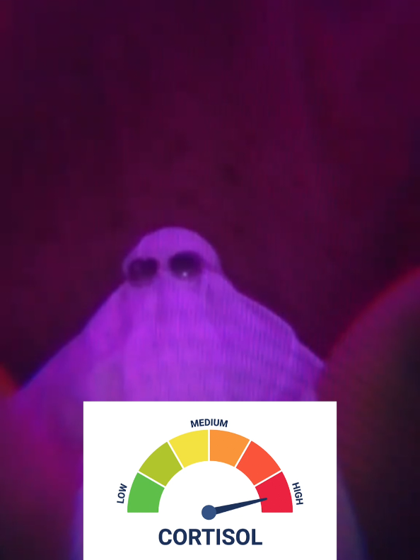 @Y A M I C A N D Y E