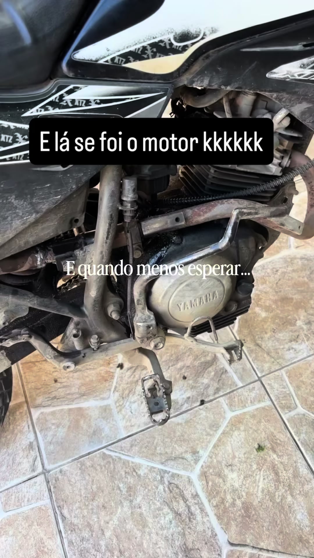 @Mayk Leão