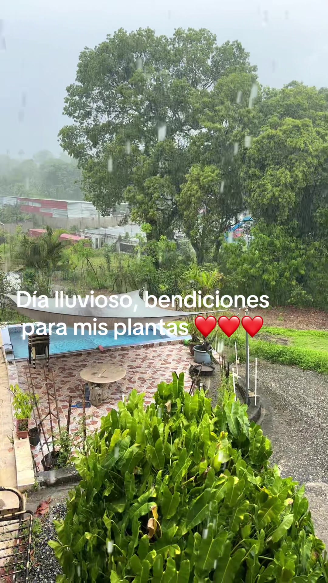 @Roxanna