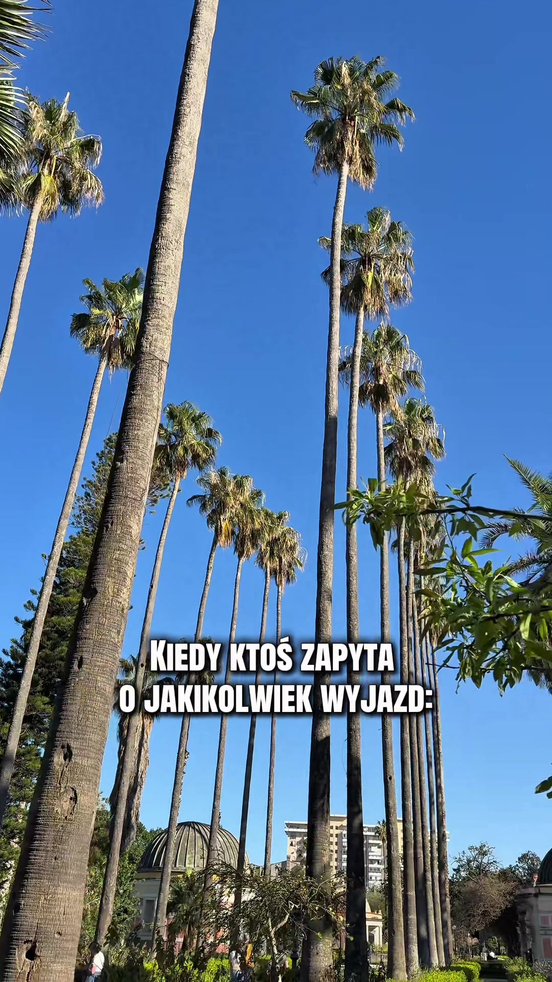 @Karolina Kobus