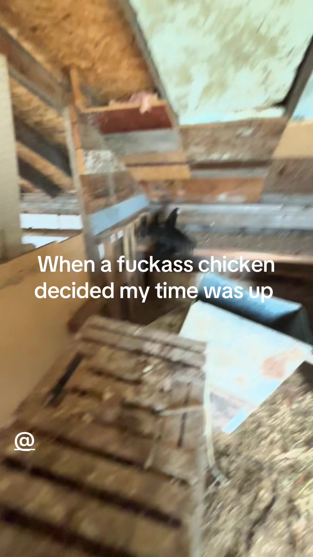 @@⃟Brødie