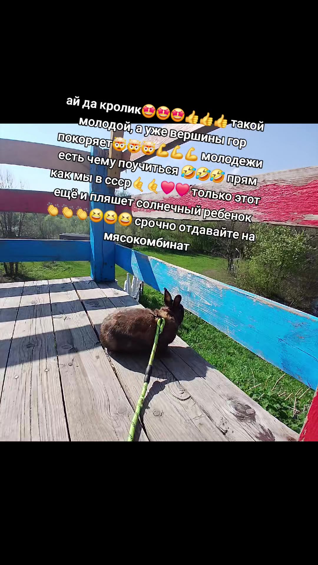 @кабачковый оладушек