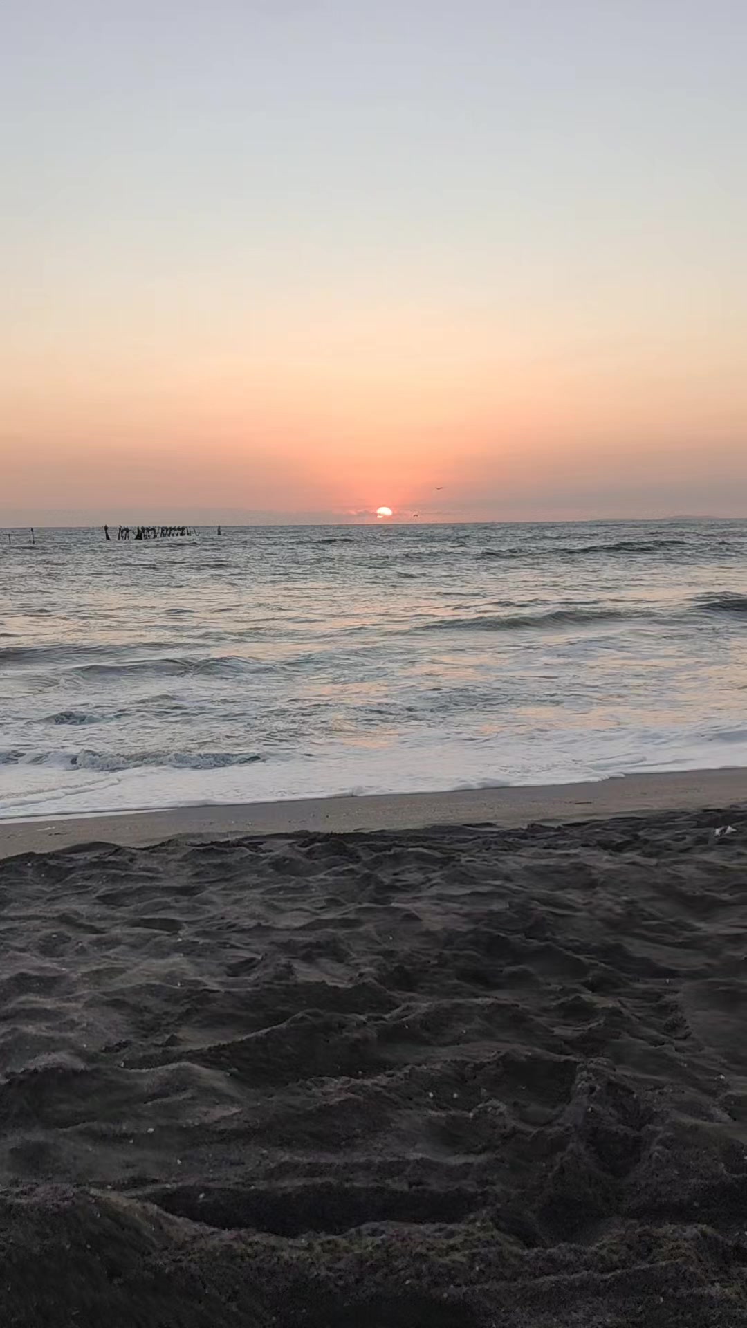 @J. F. T. H 🇵🇪❤️
