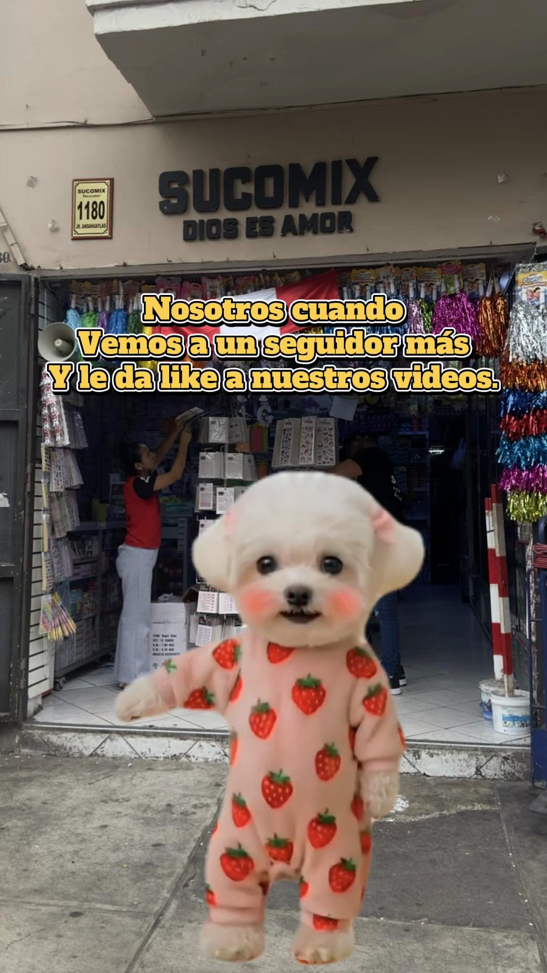 @Sucomix