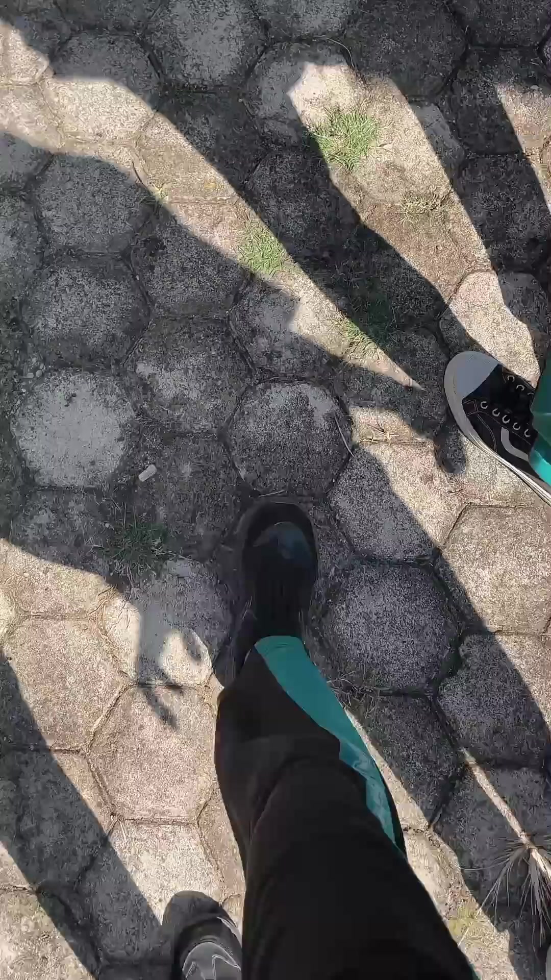 @myxditzx_🕸️