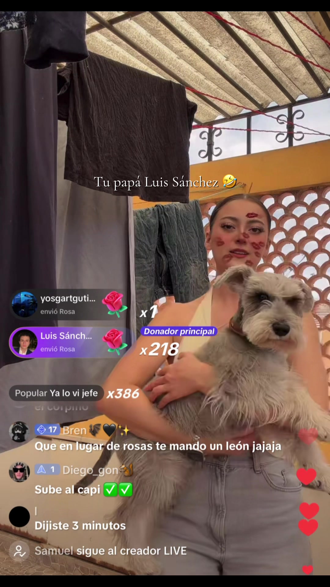@Clip_🐿️🐿️