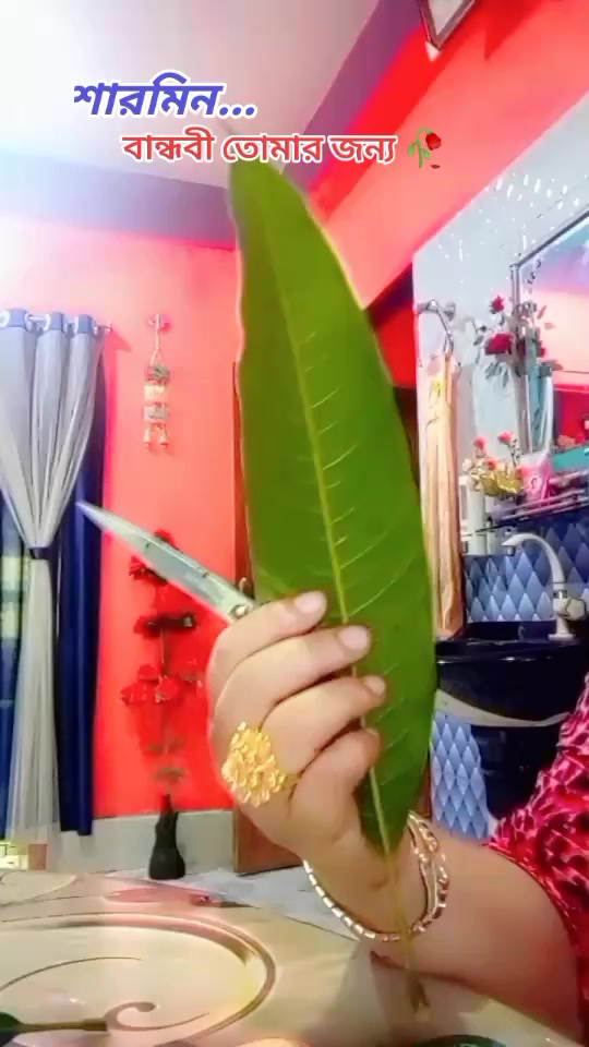 @হাছনা কাজী