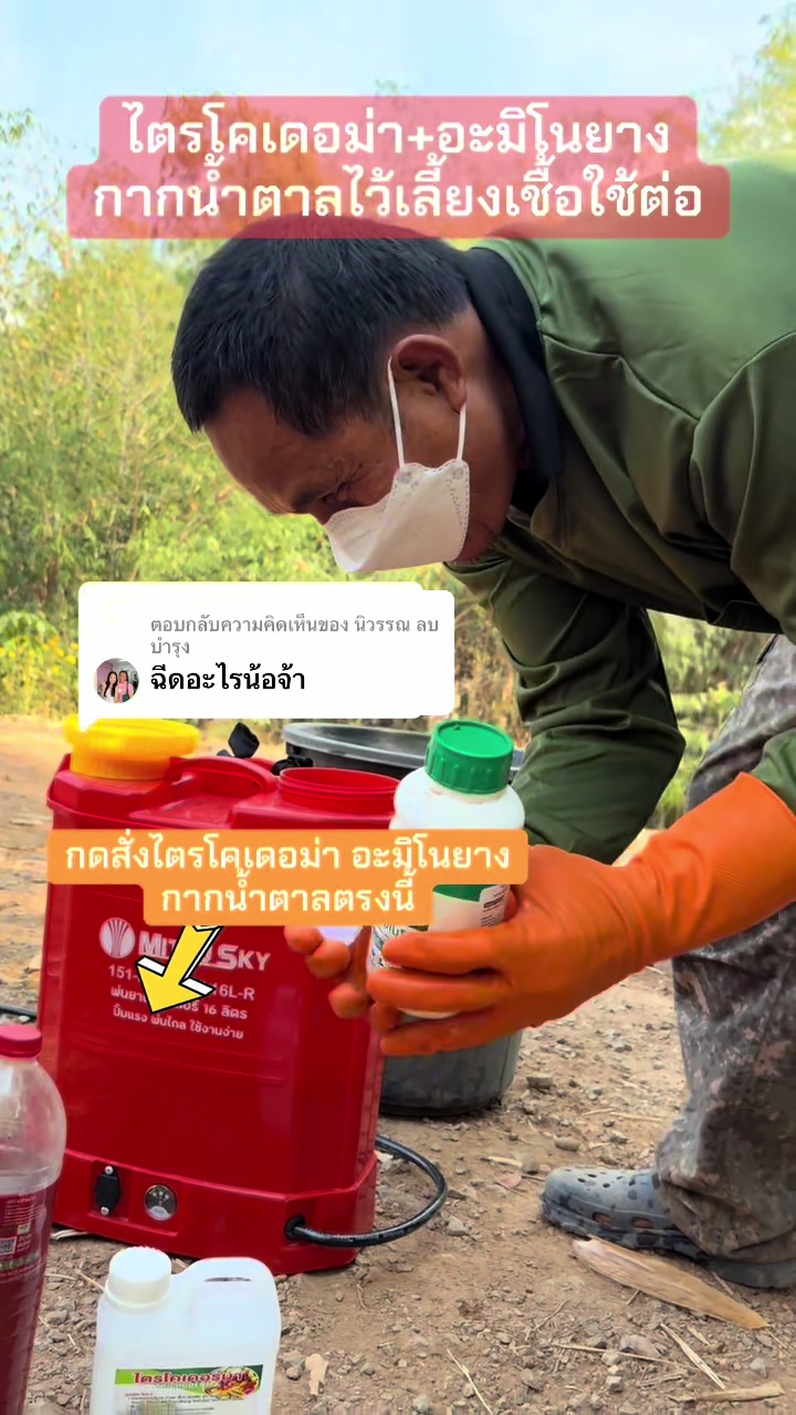 @นัดดาชอป