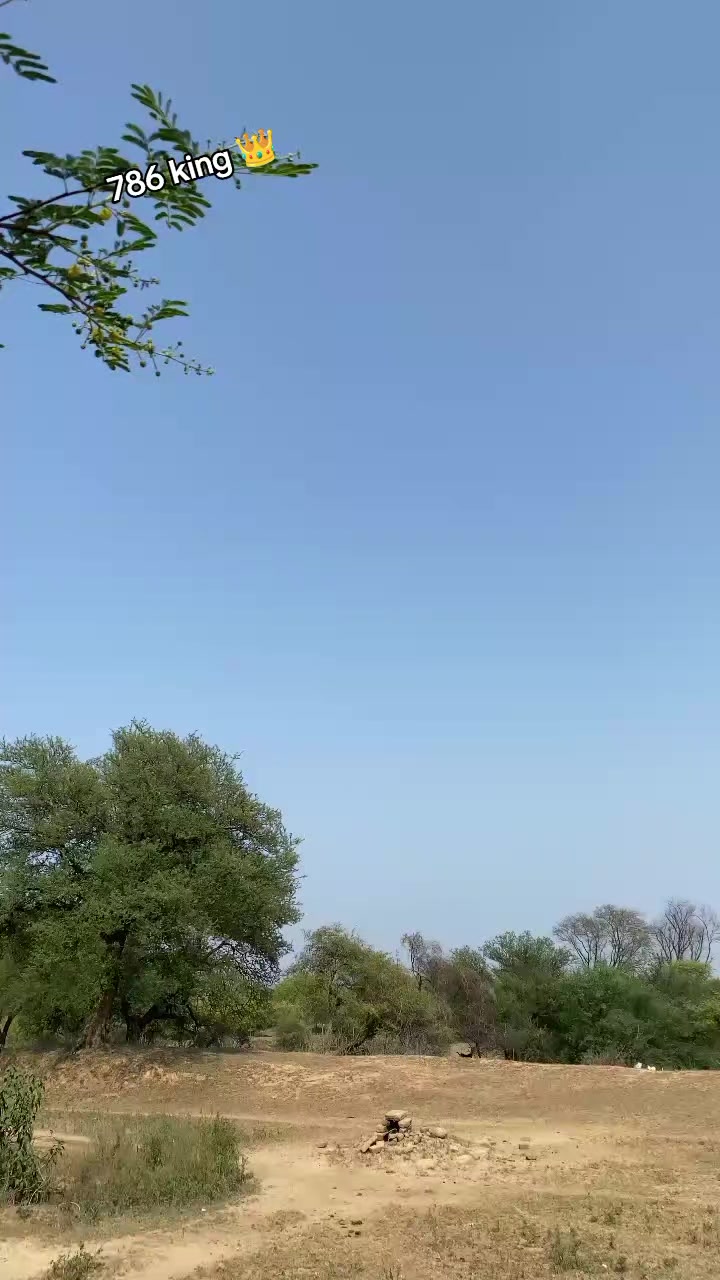 @چوہدری نثار مندیال
