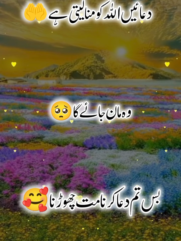 @اردو شاعری 🦋