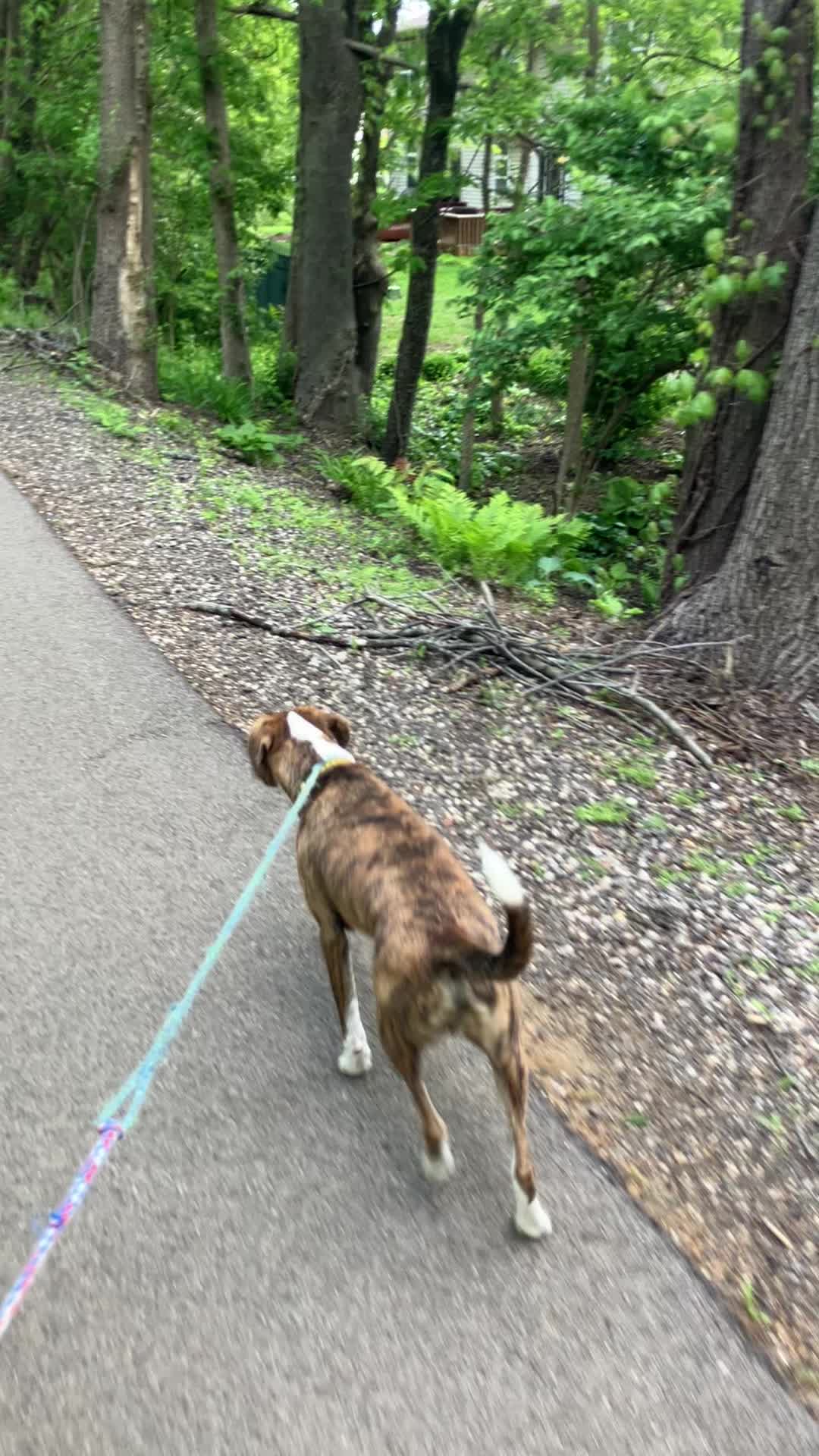 @Hikingwithstanley