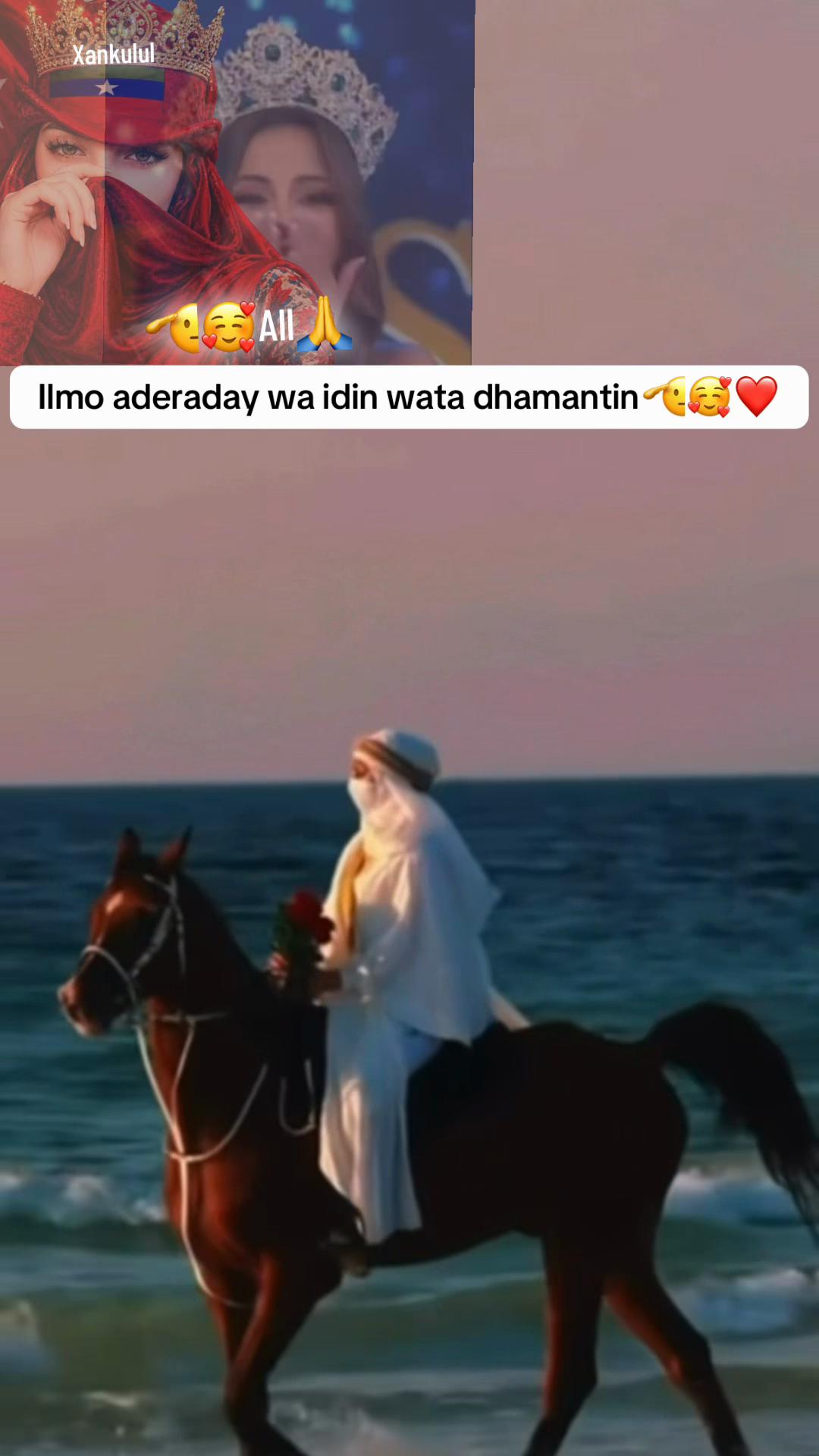 @xankulul1