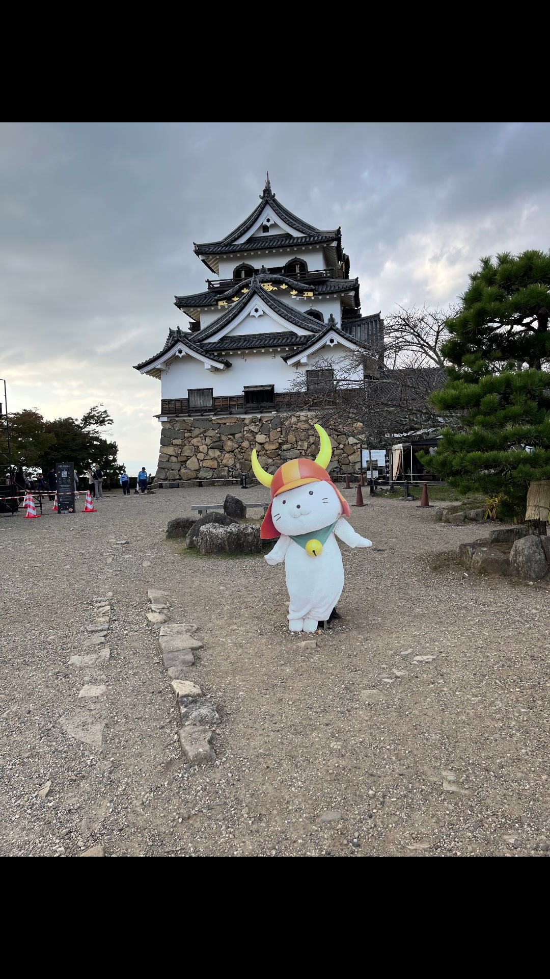 @ラッキーチャーム.マリッジ｜婚活・結婚相談所