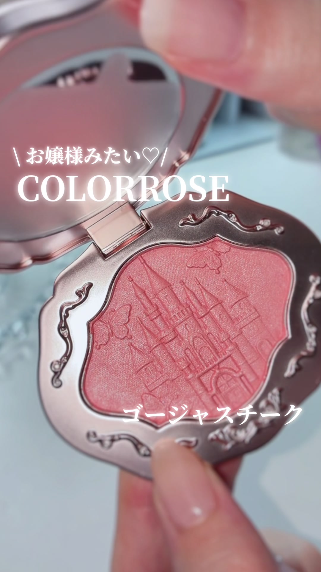 @ちょく🦭ブルベ冬