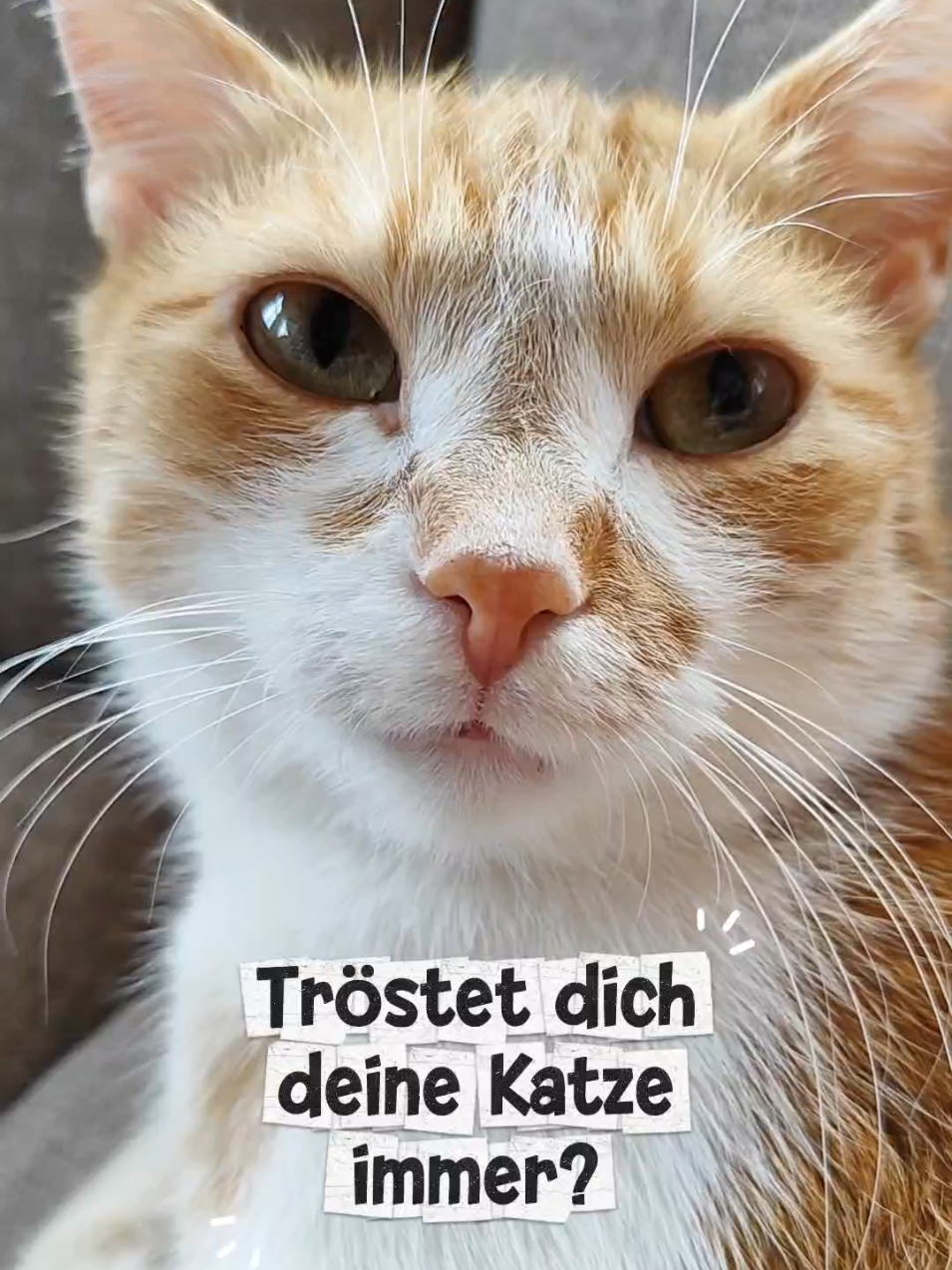 @😻нⷩeͤjdͩiͥneͤ😻