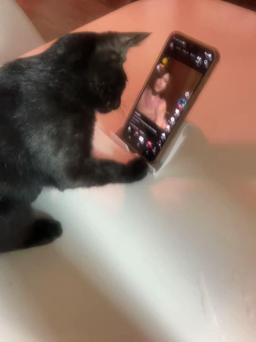 @쏭이