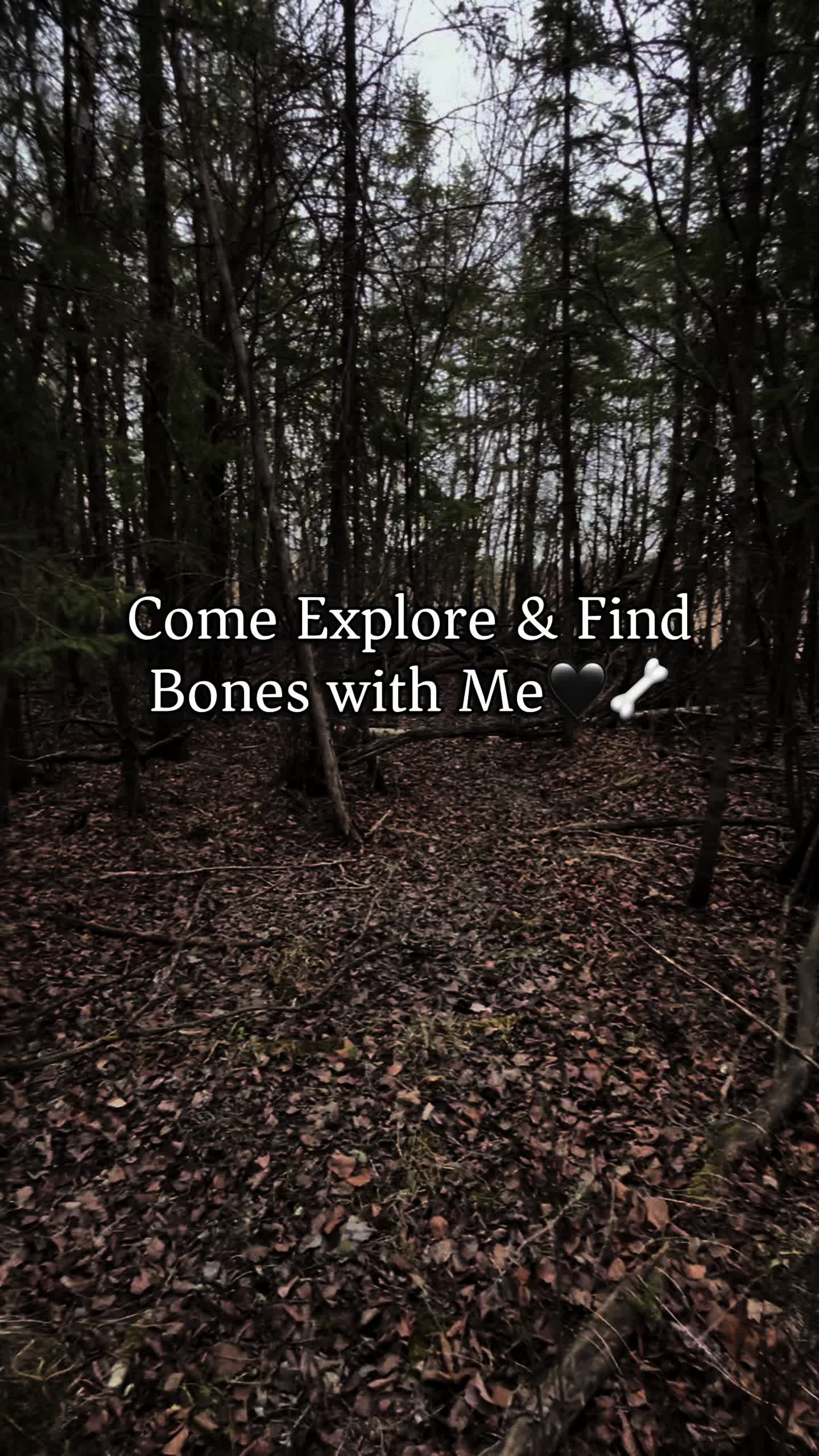 @Madi 🦇🖤