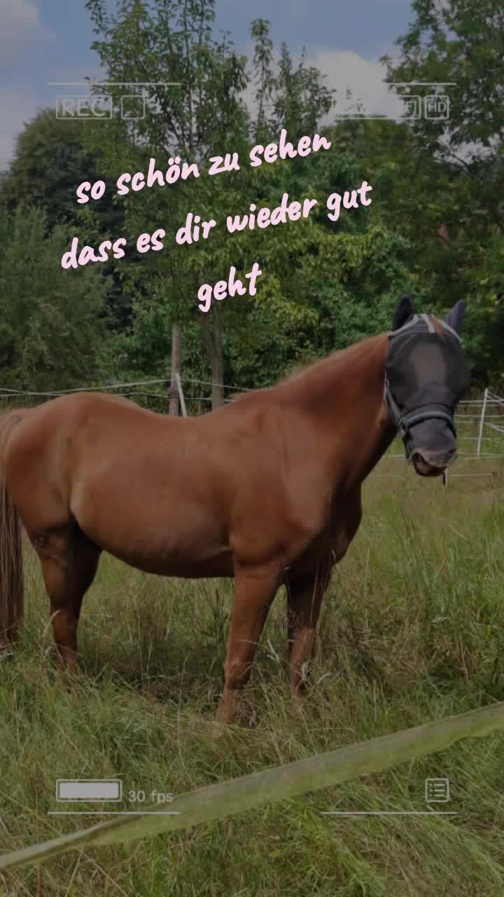 @Ponykids Freitagsgrund