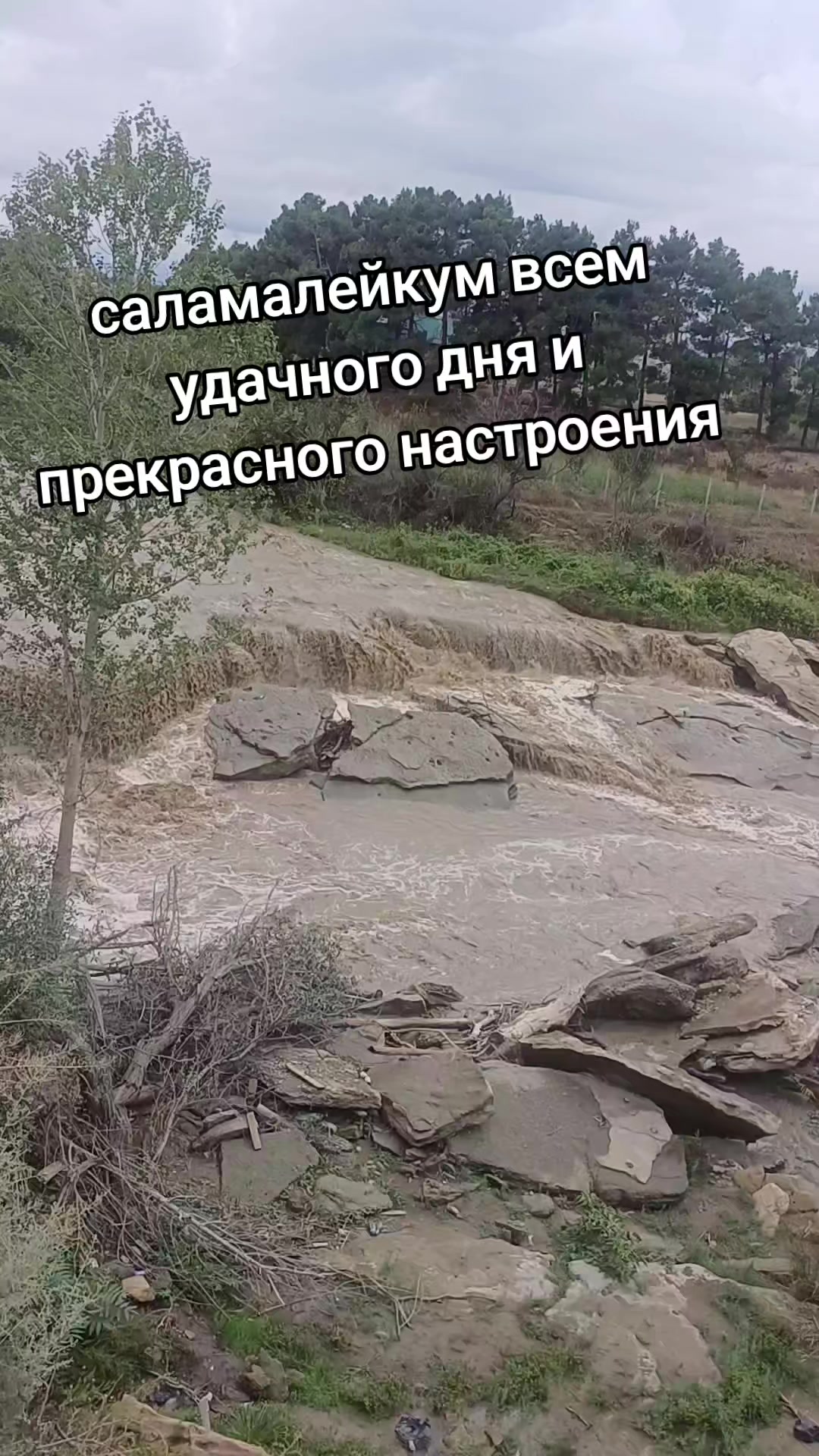 @@Tamila.(((Dagestan))).