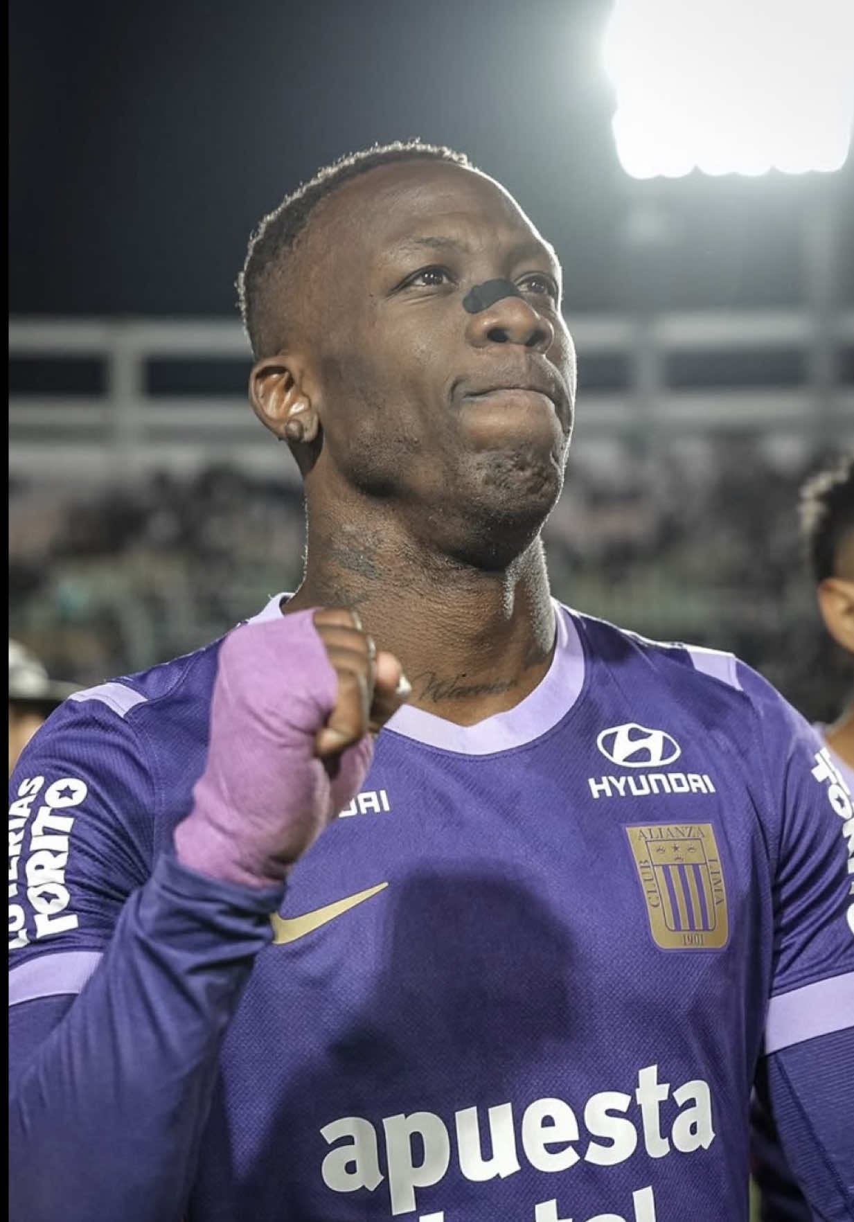 @Liga de F&uacute;tbol Profesional