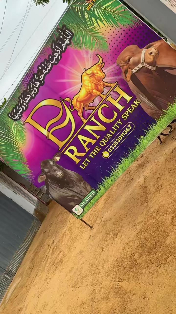 @Karachi Bull lovers