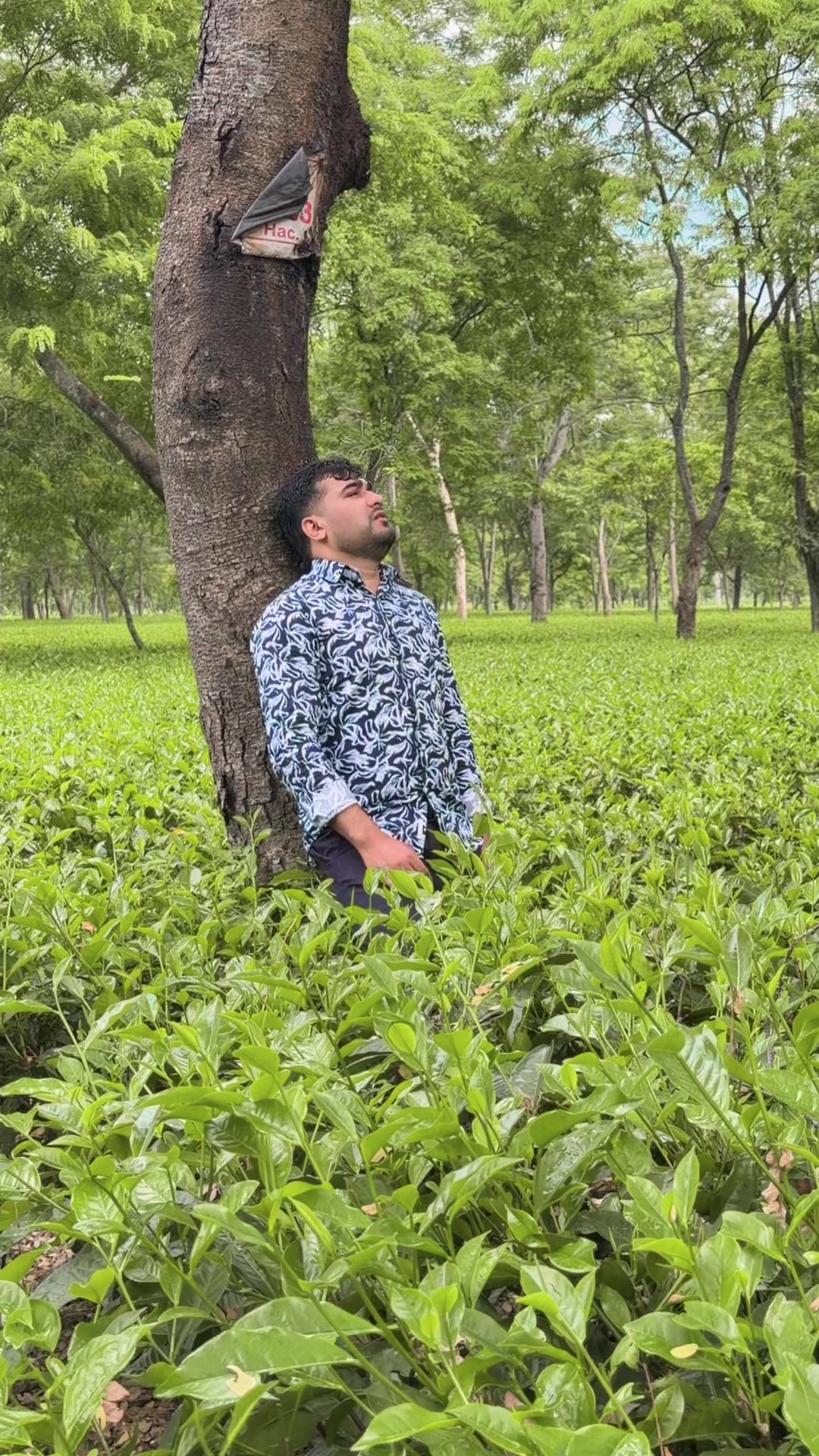 @Prajwal-Neupane-official