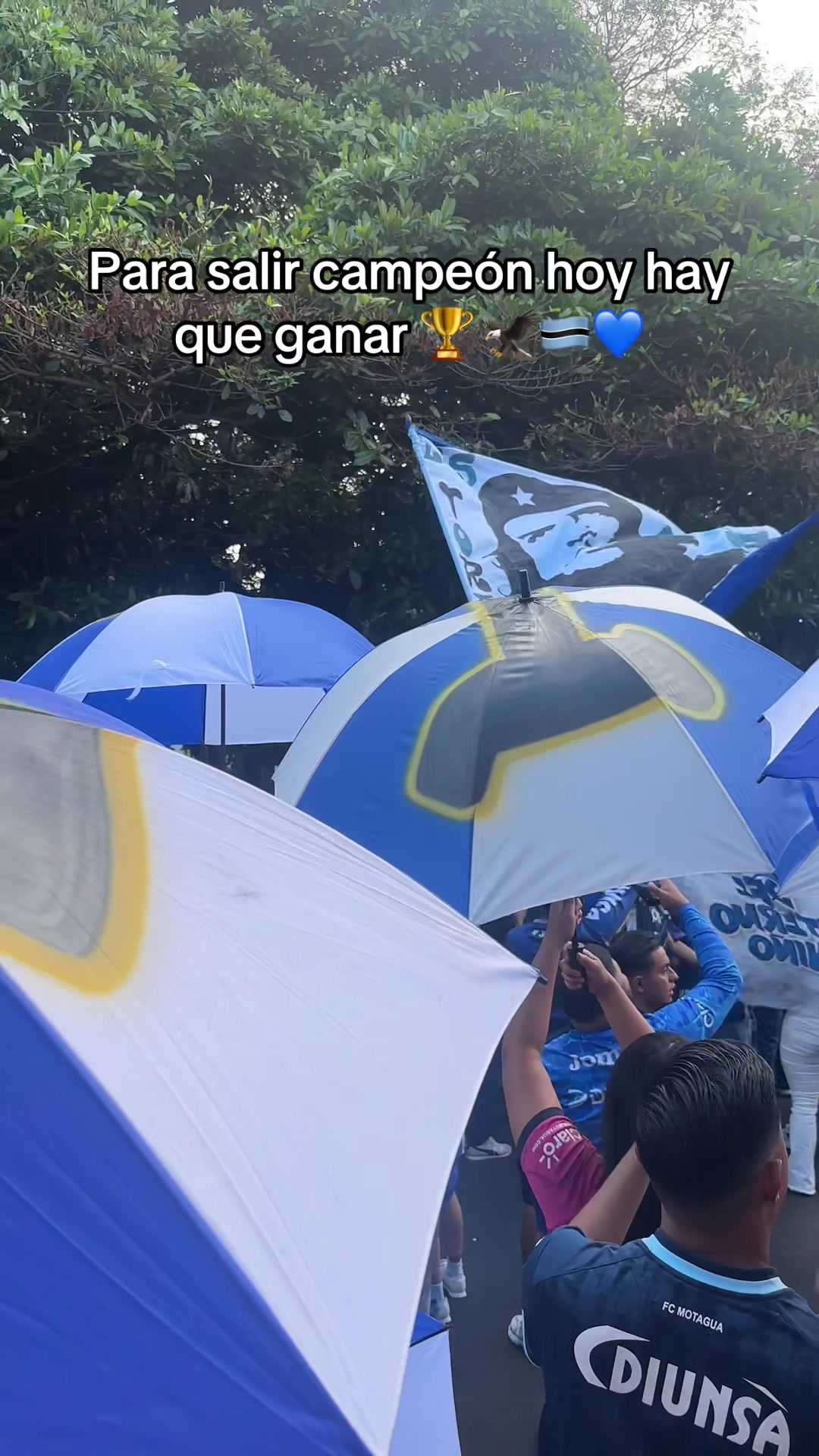 @El Moii..!!🍫🏄🏻♂️