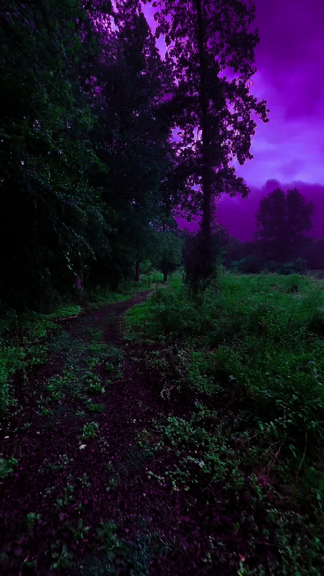 @DarkSpaces