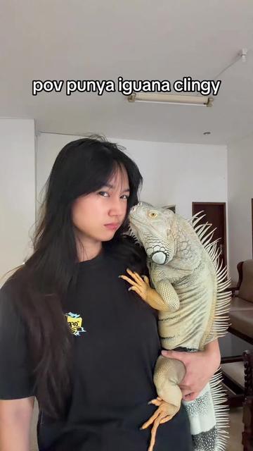@gobi.and.eli
