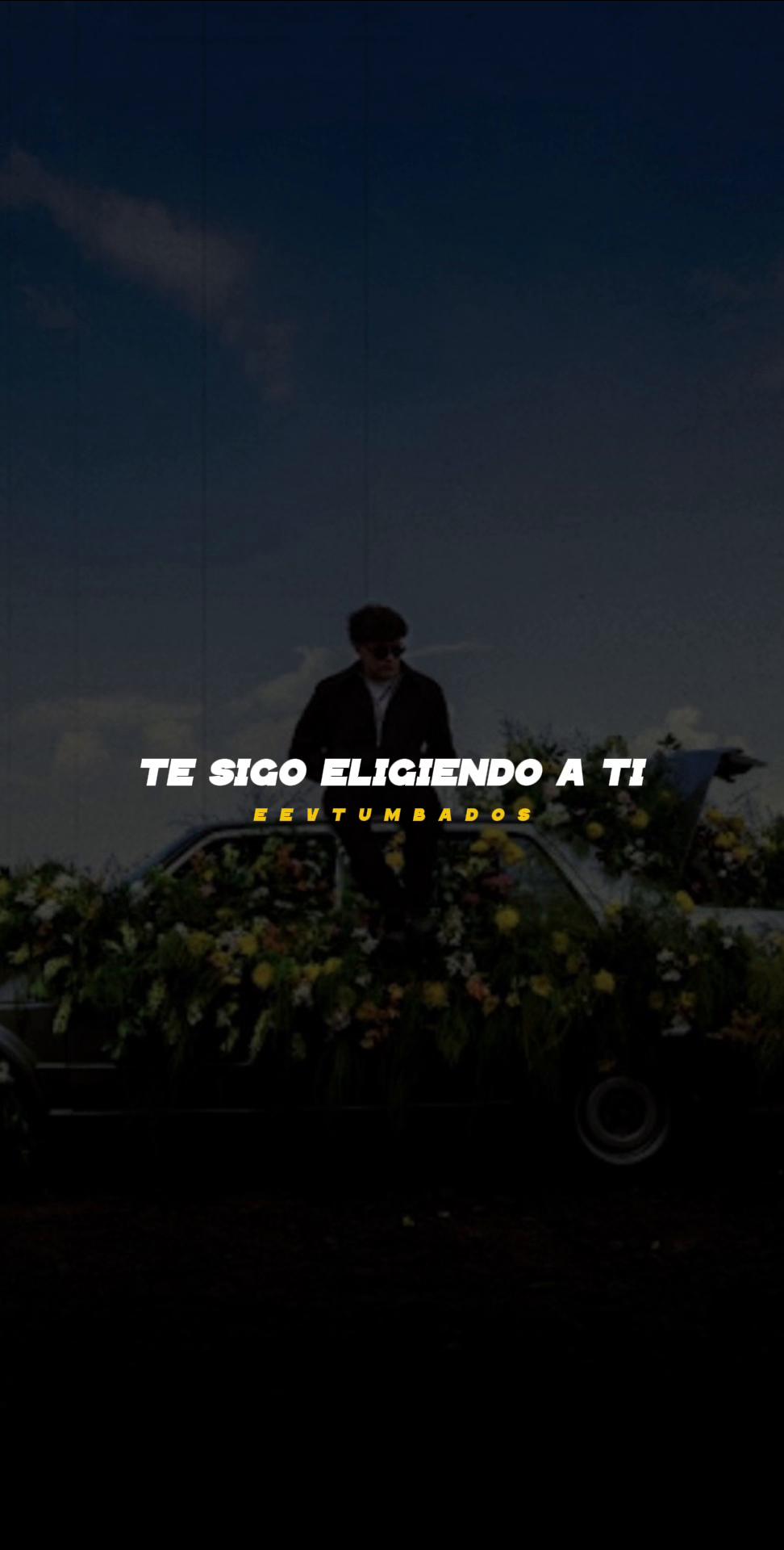 @eevtumbados_