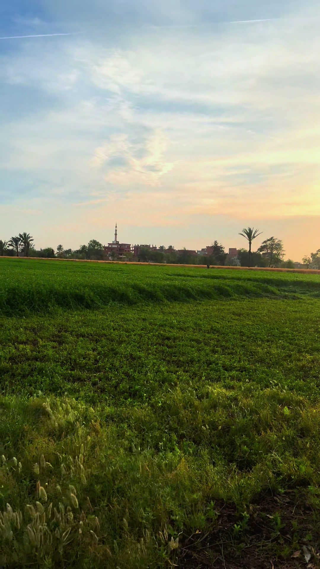 @🇸🇦&Ecirc;Mŷ🇪🇬