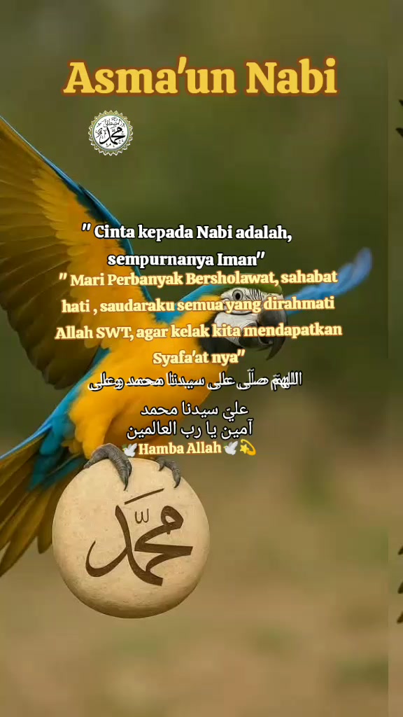 @🌸🕊️Hamba Allah🕊️🌸