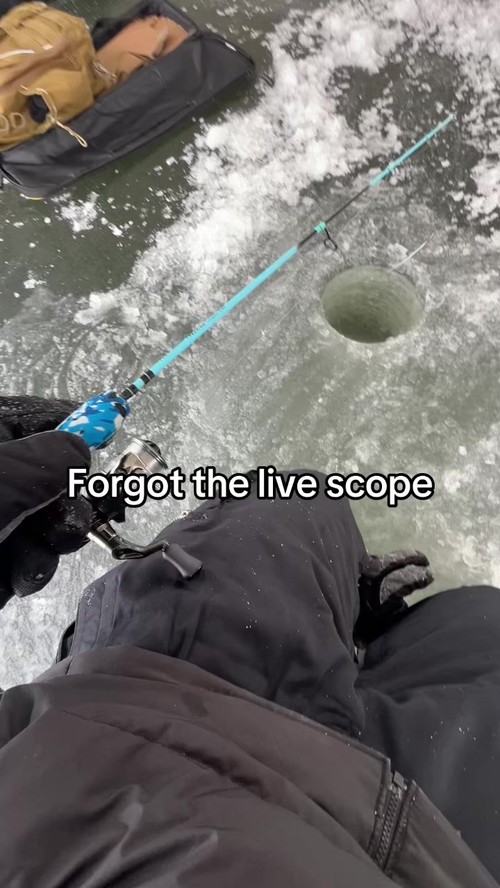 @yzxezz 🎣