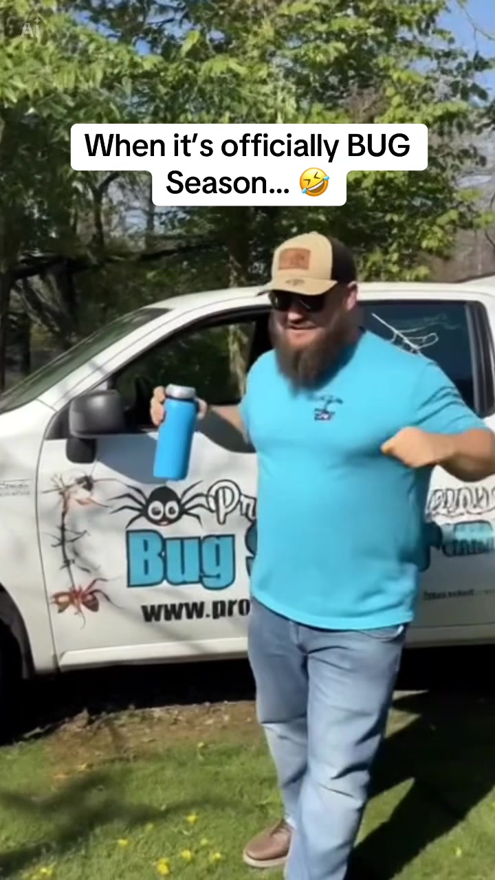 @ProBugSolutions