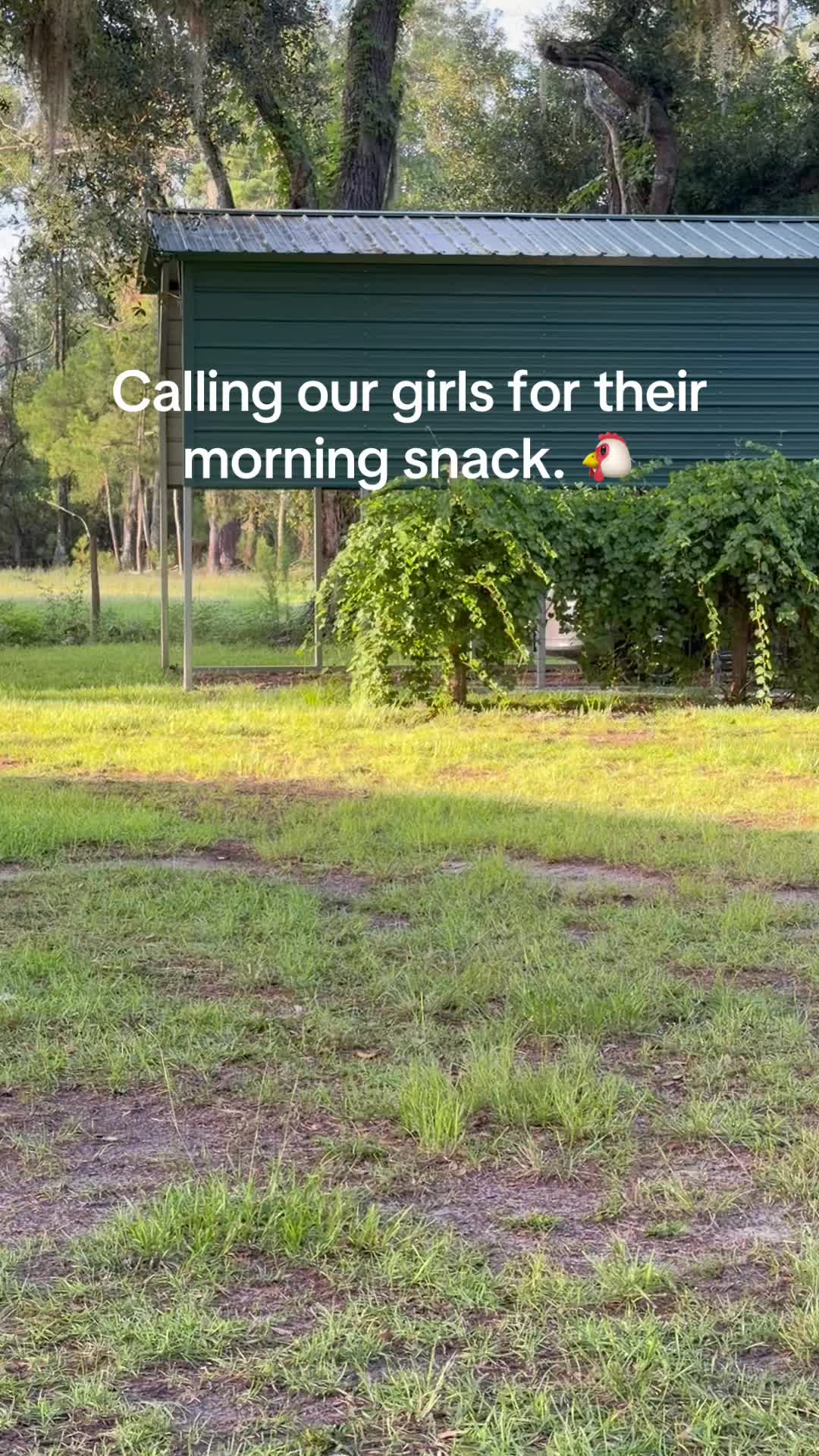 @Kelley Farms