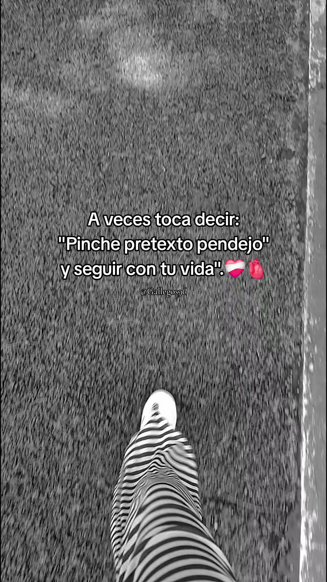 @phani Aguilar