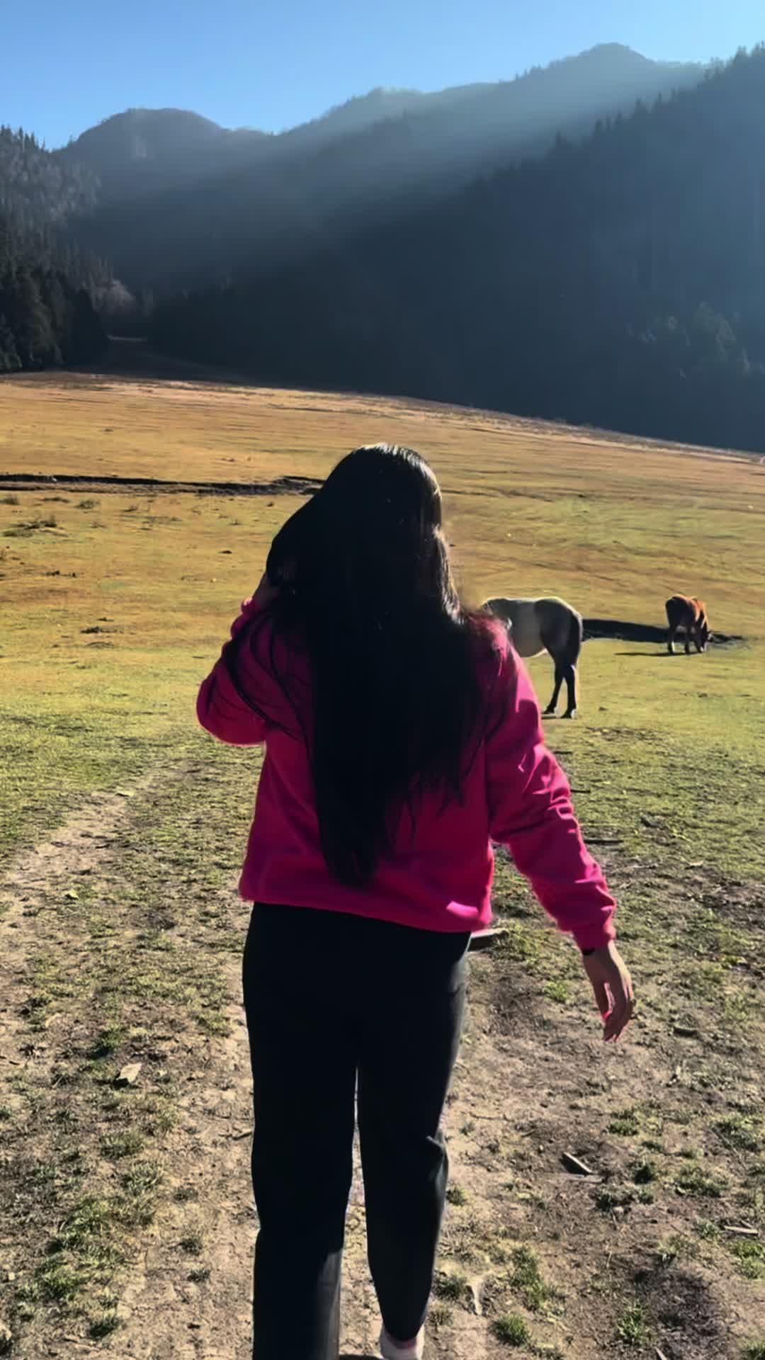 @GeetAnjali Puri