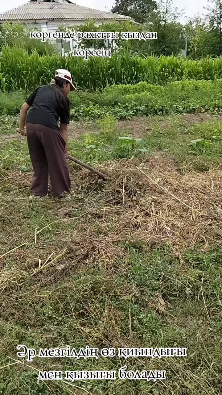@moti7045.