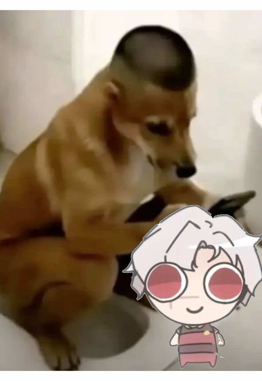 @Sabrina🪽